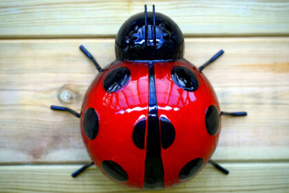 jeu Miraculous Ladybug